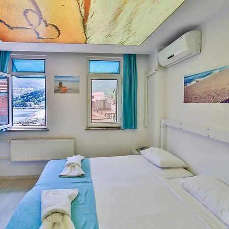 Guest house Timur